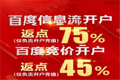 某品牌SEM广告投放效果全解析
